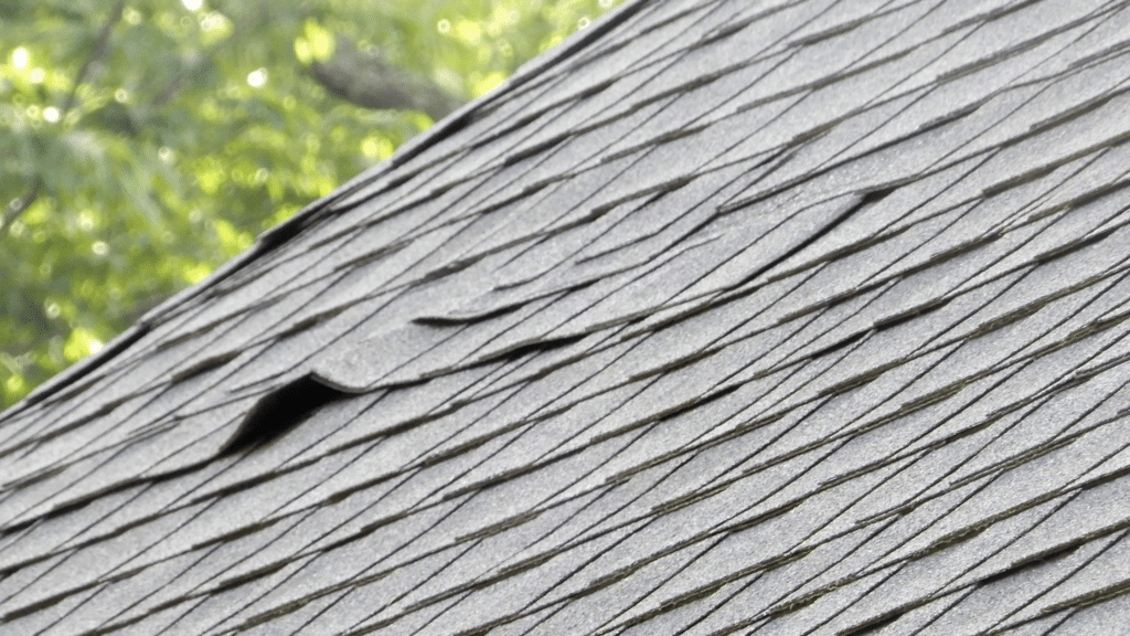damaged shingles on roof - roof repairs