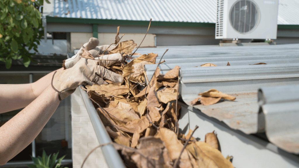 leaves being removed from gutter Denver gutter cleaning